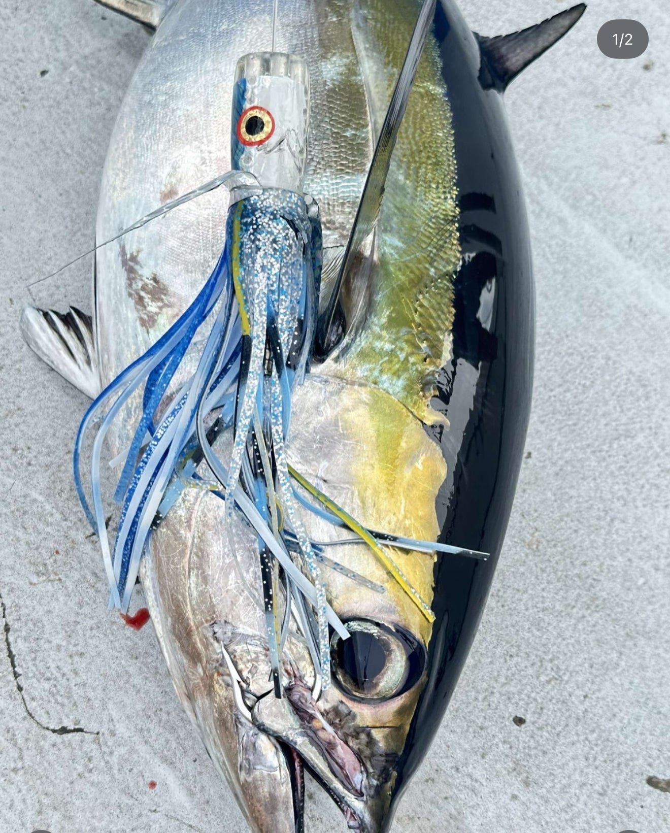 big jake fishing lure Musky Mania 14