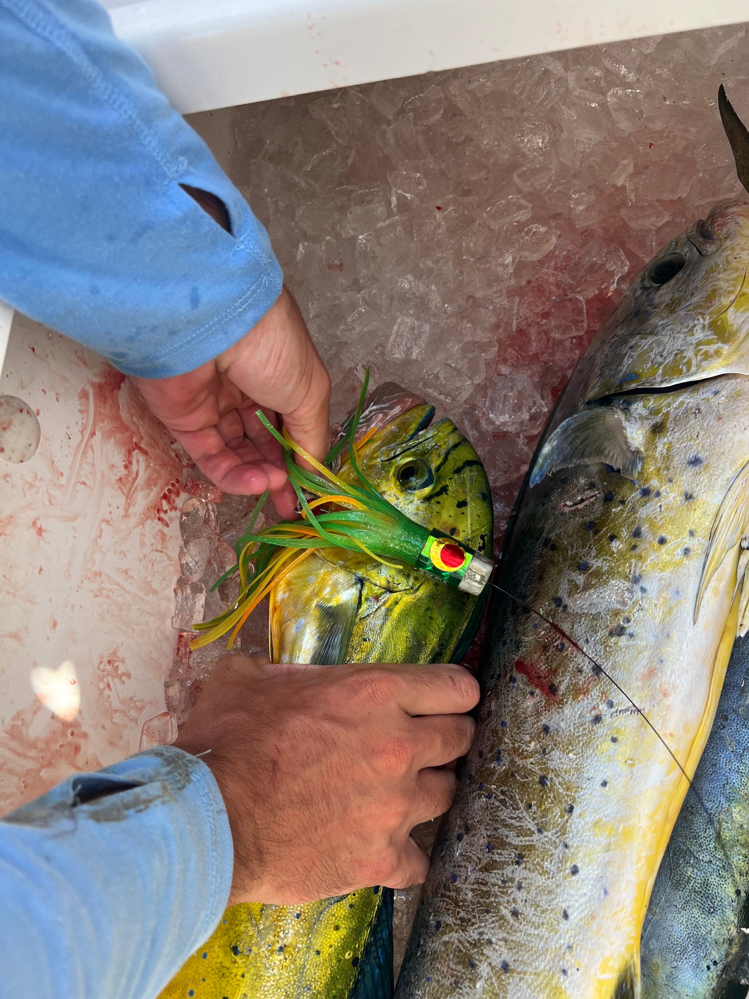 MAHI LURES