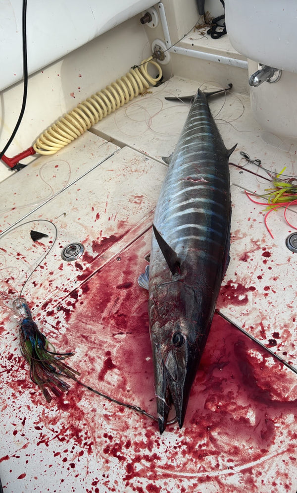 The Wahoo Signature Spread