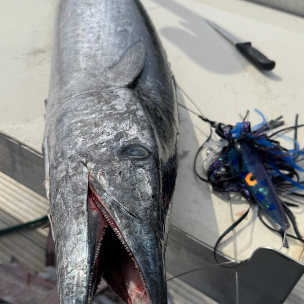 The Ultimate High Speed Spread