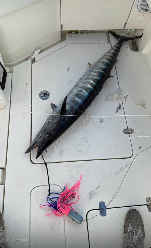 The Wahoo Signature Spread