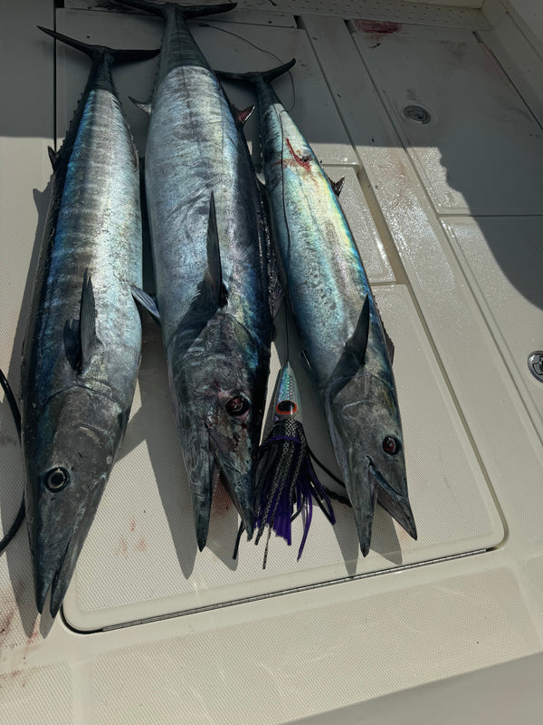 The XL Wahoo Trifecta Pack