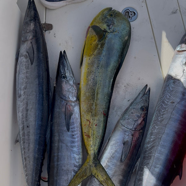 The Ultimate High Speed Spread