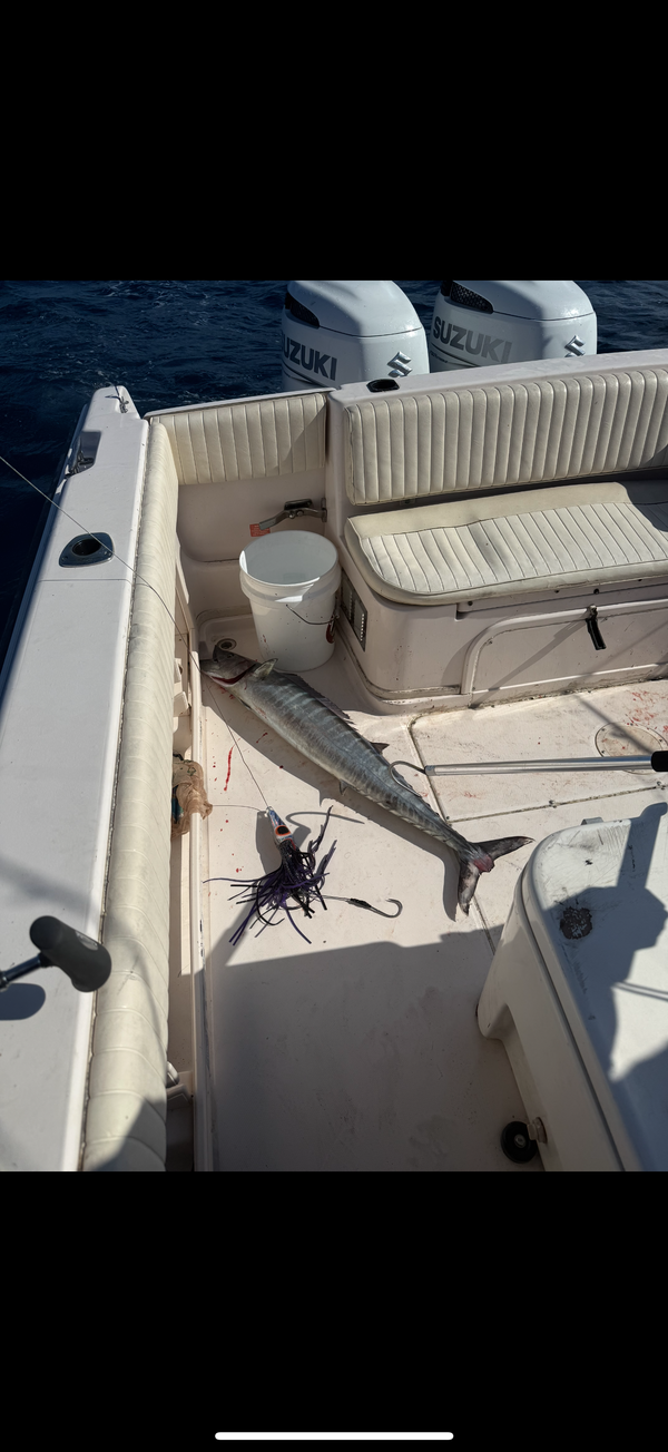 The "Wahoo Slayer" bag