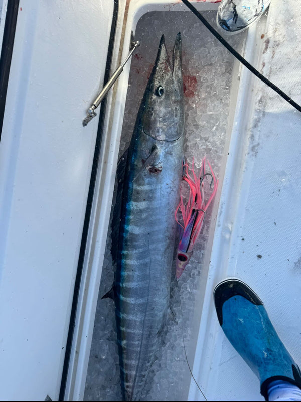 The Wahoo Signature Spread